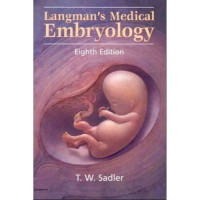 Image of Langmans's medical embriology