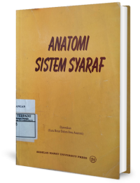 Image of Anatomi sistem syaraf