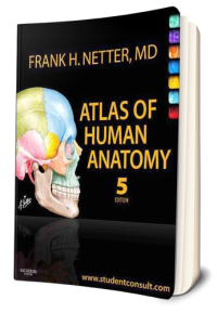 Image of Atlas anatomi manusia