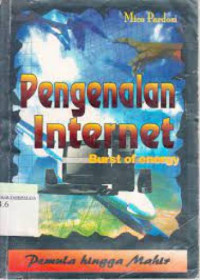 Image of Pengenalan Internet