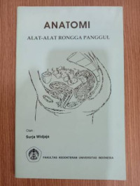 Image of Anatomi: Alat-alat Rongga Panggul
