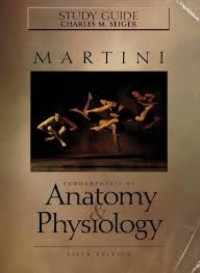 Image of Fundamentals of Anatomy and Physiology